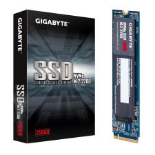 256GB M.2 Solid State Drive (Gigabyte NVMe SSD 256GB GP-GSM2NE3256GNTD)