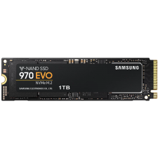 1000GB (1TB) M.2 Solid State Drive (Samsung 970 EVO PLUS)